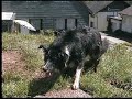 Laika Duschen bessere Qualit�t