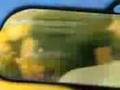 videos de tavernetta