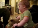 Rocking horse