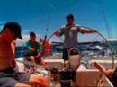 Dehler Magic in Bass Straight