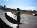 A day at willow