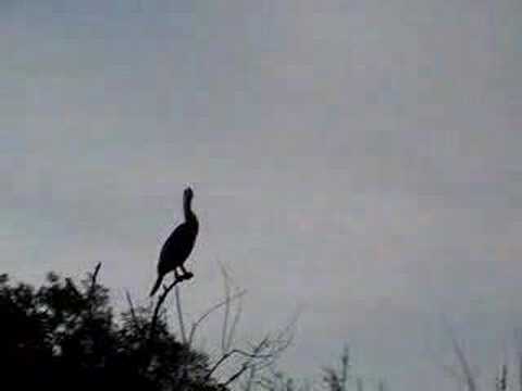 Florida: Everglades National Park