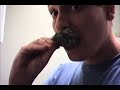 Tutorial: cucinare le ostriche e i granchi Tutorial: cucinare le ostriche e i granchi