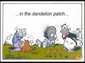 The Dandelion Patch - Tribute Song to Bloom County