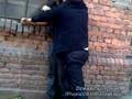 videos de gorillas of punjab!!