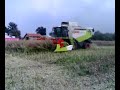 CLAAS LEXION 530 COLZA
