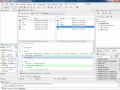 Delphi XE (aka Delphi 2011) Delphi Prism XE and RadPHP XE Preview #1