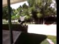 LEON SKATE GAP