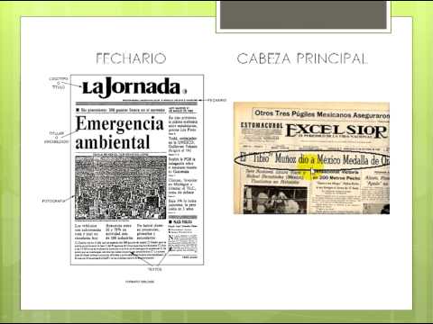 ESTRUCTURA EXTERNA REVISTA estructura externa revista: