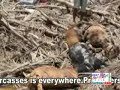 Balochistan Floods