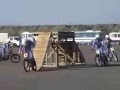第39回宮崎県警察白バイ安全運転競技大会