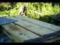 saw mill