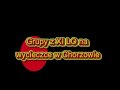 Wycieczka uczniów z XI LO do Chorzowa w ramach projektu WiP