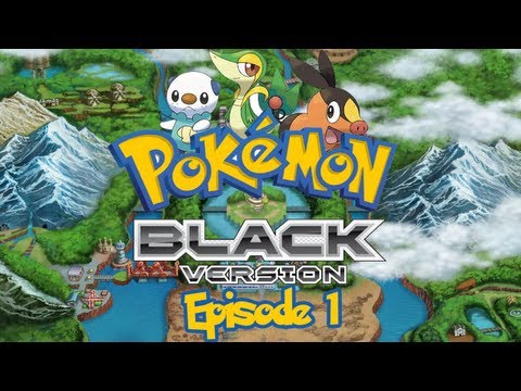 how to play pokemon black on pc