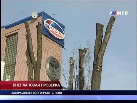 YouTube Трейлер