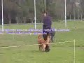 Moses - Competing In Junior - Club Comp