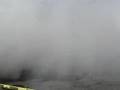 goat burnout