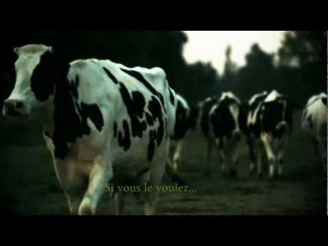 Image de prévisualisation YouTube