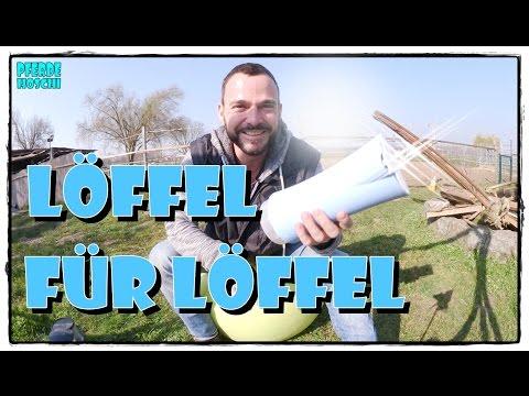 Pferde im Offenstall - Mineral-Futter sauber dosiert  | Pferde Hoschi