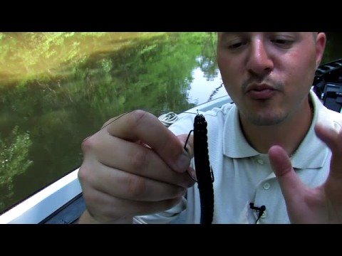How to Texas Rig or Wacky Rig for Bass Fishing