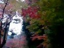 雨の女人高野室生寺：仁王門～鎧坂～金堂