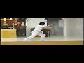 Wang Shu Jin Tai Chi form (1 of 2) Wang Shu Jin Tai Chi form (1 of 2)