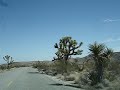 Joshua Tree Nat.Park from a 2000 Oldsmobile Intrigue GL