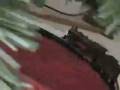 Christmas Tree Train