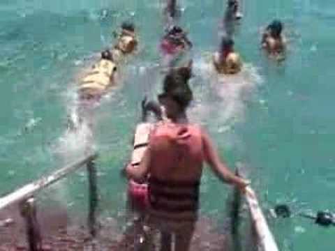 Young Judaea Machon 2 Snorkeling in ...