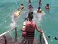 Young Judaea Machon 2 Snorkeling in Eilat