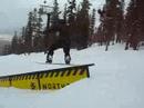 gnar shredz