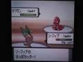 ポケットモンスターダイヤモンド四天王戦 vsゴヨウ