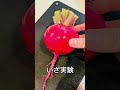サラダカブは手で剥けるのか？🥗#家庭菜園 #youtubeshorts #ガーデニング #もものすけ