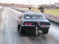 Brian Hedrick- bad69bird wheelie video Brian Hedrick- bad69bird wheelie video