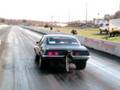 Brian Hedrick- bad69bird wheelie video