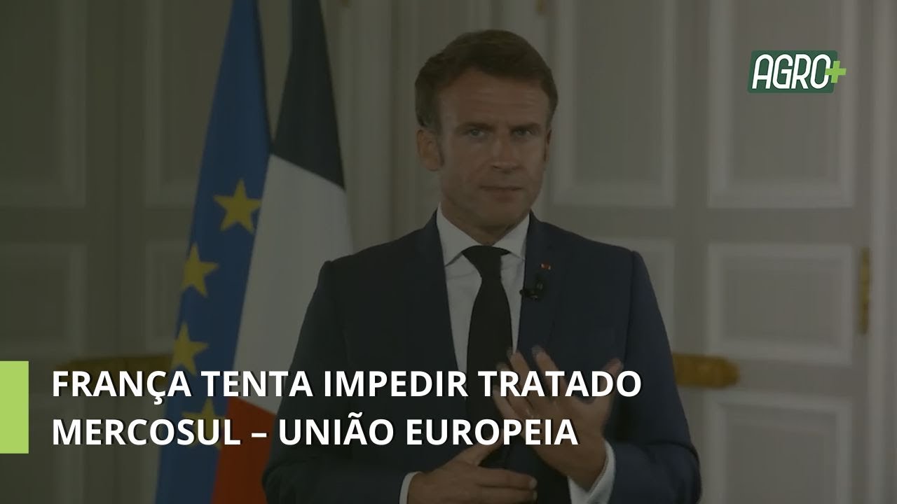 COP30 no Brasil com Ingo Plöger.