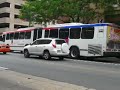 Center City Buses 2