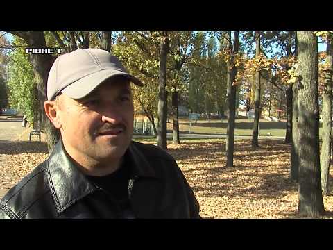 <a href='/Info/?id=95592' >У Рівному гинуть голуби: причину фахівці з'ясовують </a>