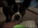 Feb 12 2008 - VID00001_3