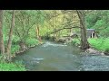 Das Laabertal bei Parsberg in der Oberpfalz