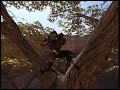 EOD Sucks: Halo 3 Machinima