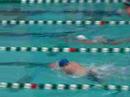 SwimStud n Muppet 50 BR