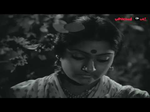 madhavi