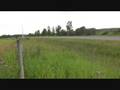 Porsche 968 Turbo Sounds