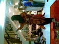 PHR GJT 04