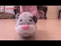GoGo Hamsters - Zhu Zhu Pets Big day out