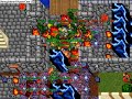 Tibia War Ot Por Troia Oo