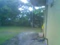 Typhoon at the house
