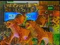 Tribos Indígenas - Dabacury
