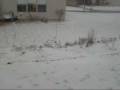 videos de Walking in a Winter Wonderland